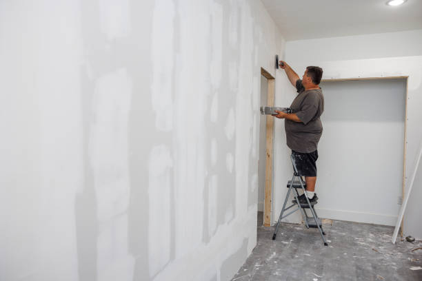  Bushland, TX Mold Removal Pros